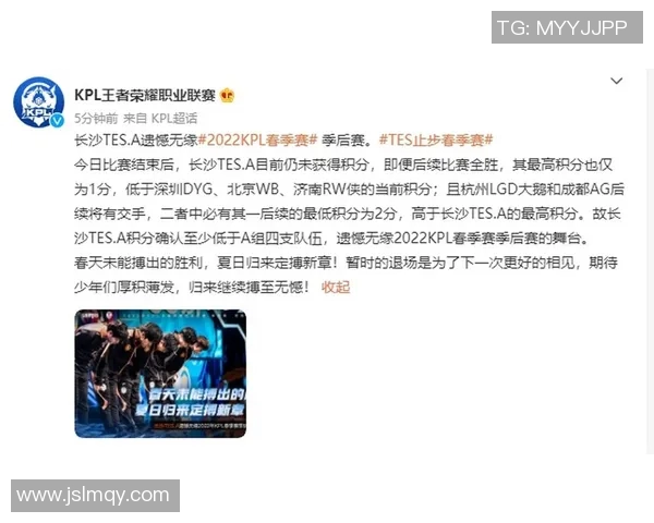 王者荣耀战术解析：TES如何构建强大的整体压制体系与战斗策略