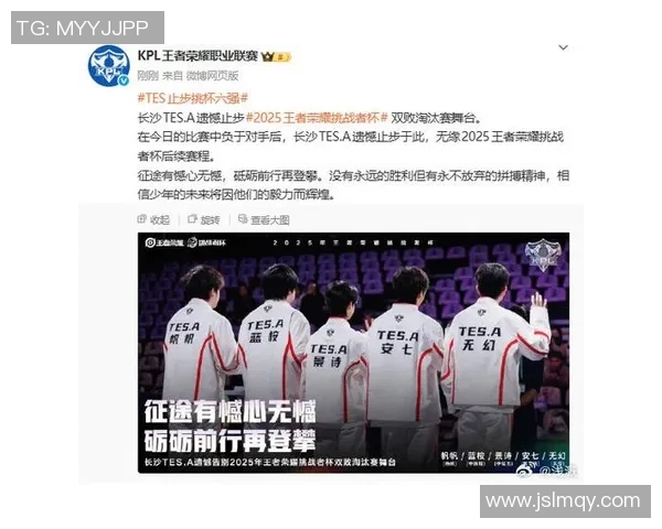 王者荣耀深度解析：TES战队选手个人能力的秘密与成长之路