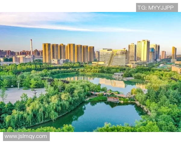 西安网球队实力飙升创造历史新高引发关注与期待