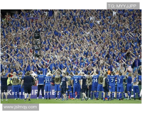 法国与冰岛足球对决盘口分析及投注建议详解 法国与冰岛足球对决盘口分析及投注建议详解